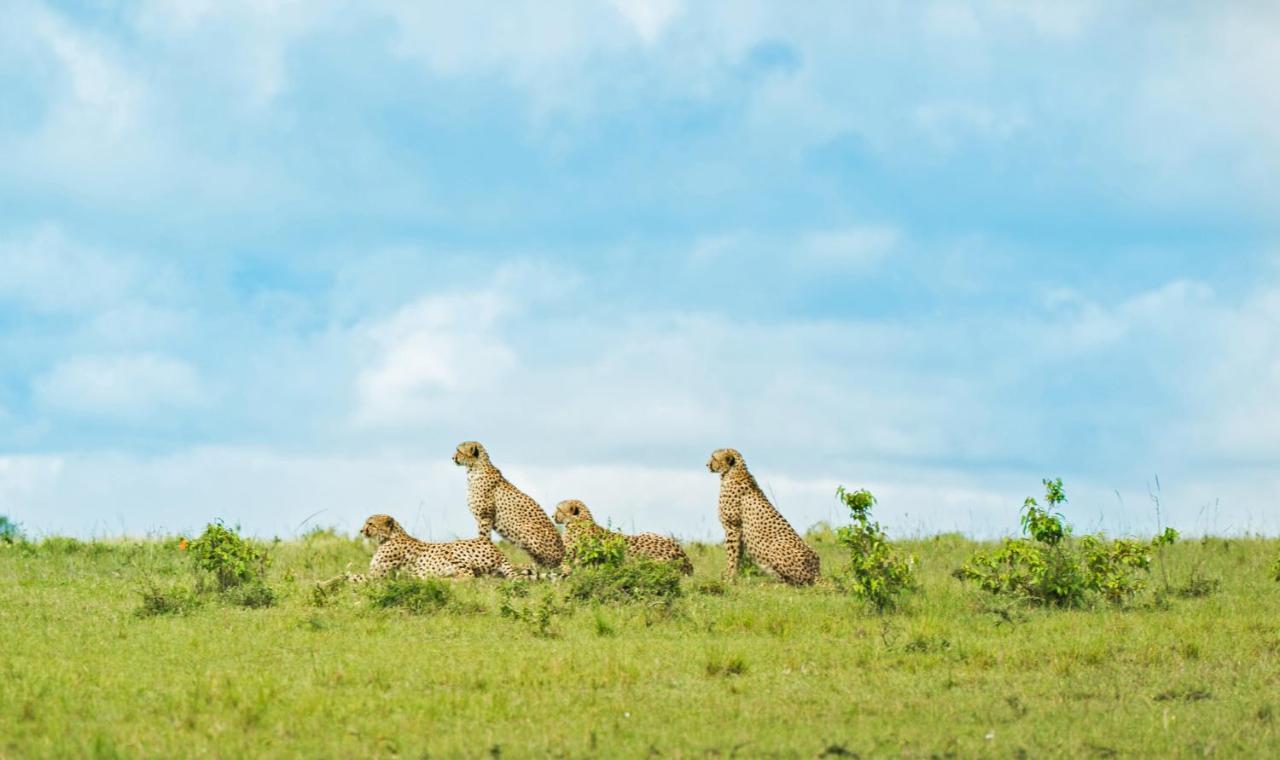 Hotel Saruni Eagle View Naboisho Exterior foto