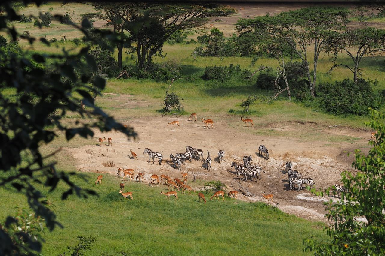 Hotel Saruni Eagle View Naboisho Exterior foto