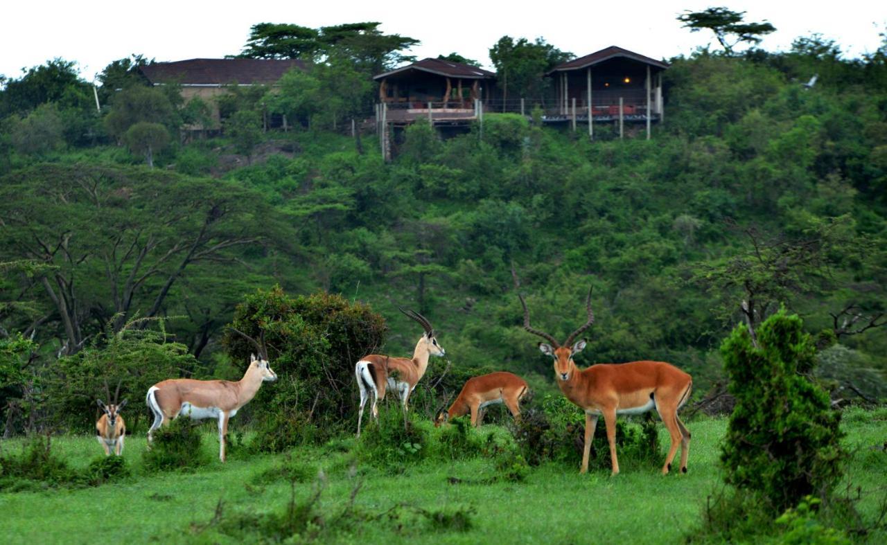 Hotel Saruni Eagle View Naboisho Exterior foto